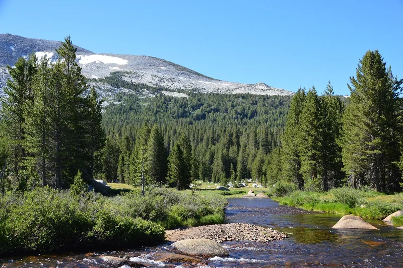Yosemite : le royaume des géants de granit