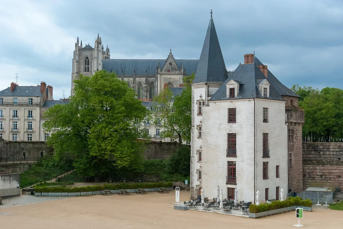 Séjour gastronomique : découvrez les trésors culinaires de France en 2026