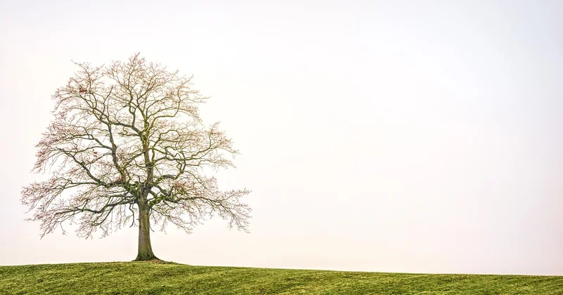 Gestion psychologique de la solitude : souffrir sans paniquer